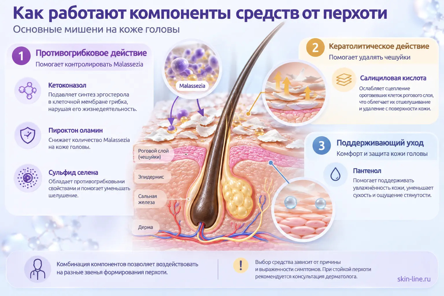 Инфографика: основные мишени и механизм действия компонентов средств от перхоти на коже головы